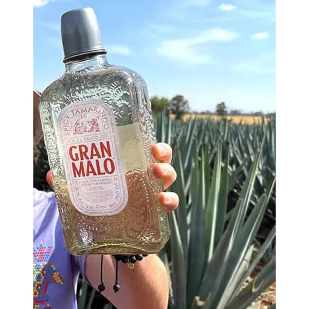 gran malo jumex flavors